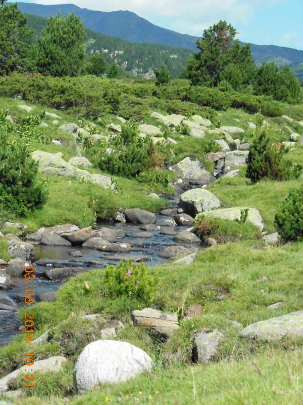 Lili Villa Céret Dış mekan fotoğraf