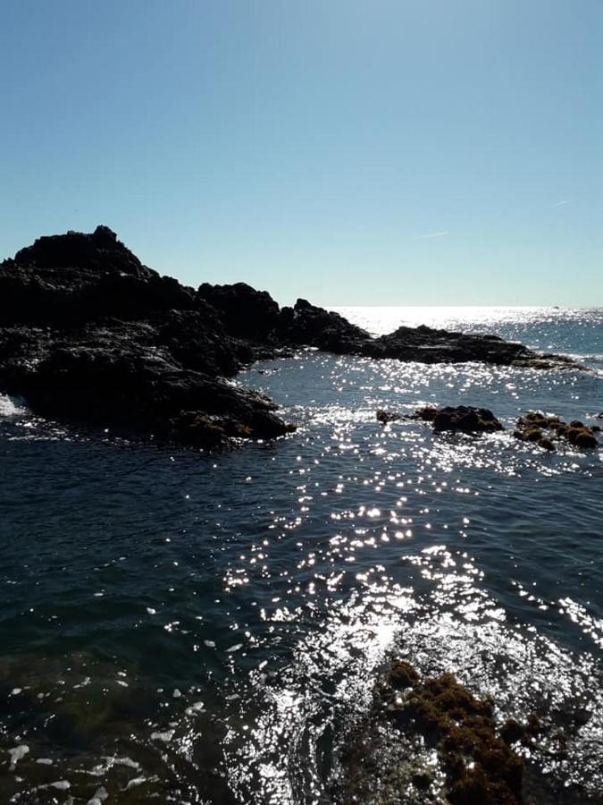 Lili Villa Céret Dış mekan fotoğraf