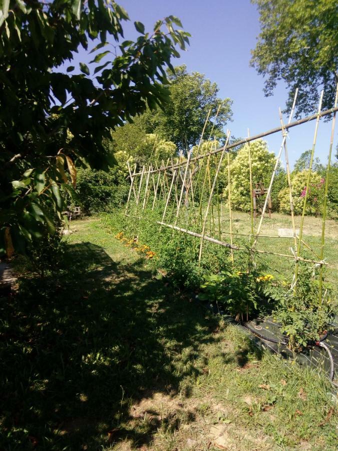 Lili Villa Céret Dış mekan fotoğraf
