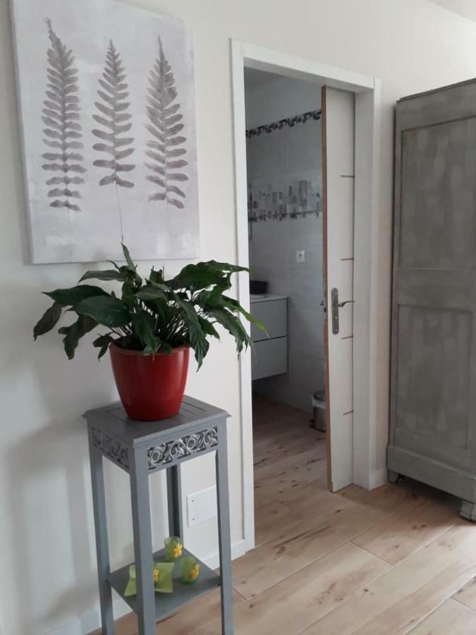 Lili Villa Céret Dış mekan fotoğraf